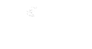 PIL_logo_imgt negativo